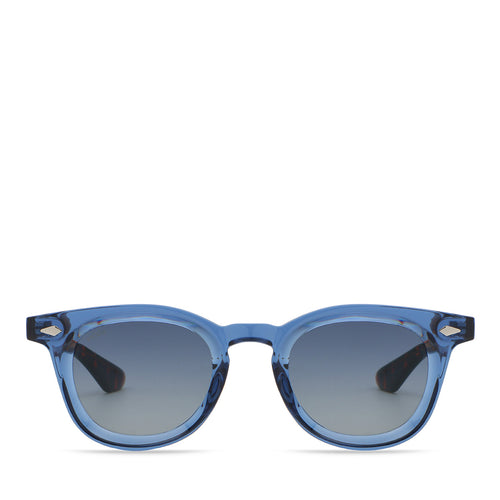 Blue/Tortoise