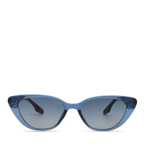 Blue/Tortoise