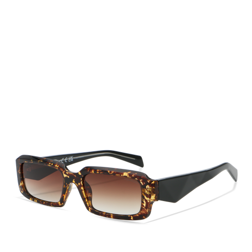 Tortoise/Brown