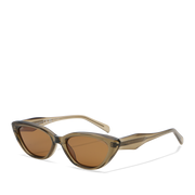 Tortoise/Brown