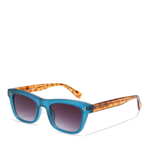 Blue/Tortoise