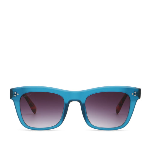 Blue/Tortoise