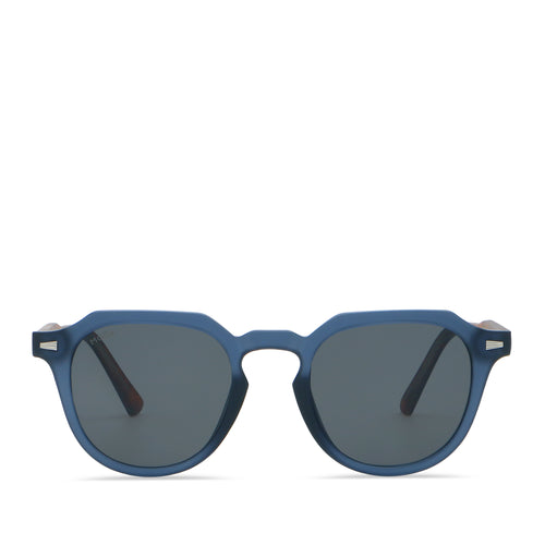Blue/Tortoise